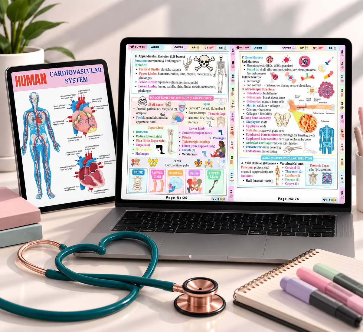 Anatomy & Physiology Cheat Sheet cover - 110-page interactive nursing study guide PDF