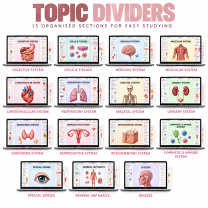 Interactive tap-to-jump navigation tabs in the A&P nursing study guide